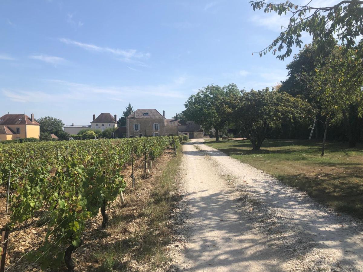 Maison De Pauline, Chablis Vineyard Préhy Exterior foto