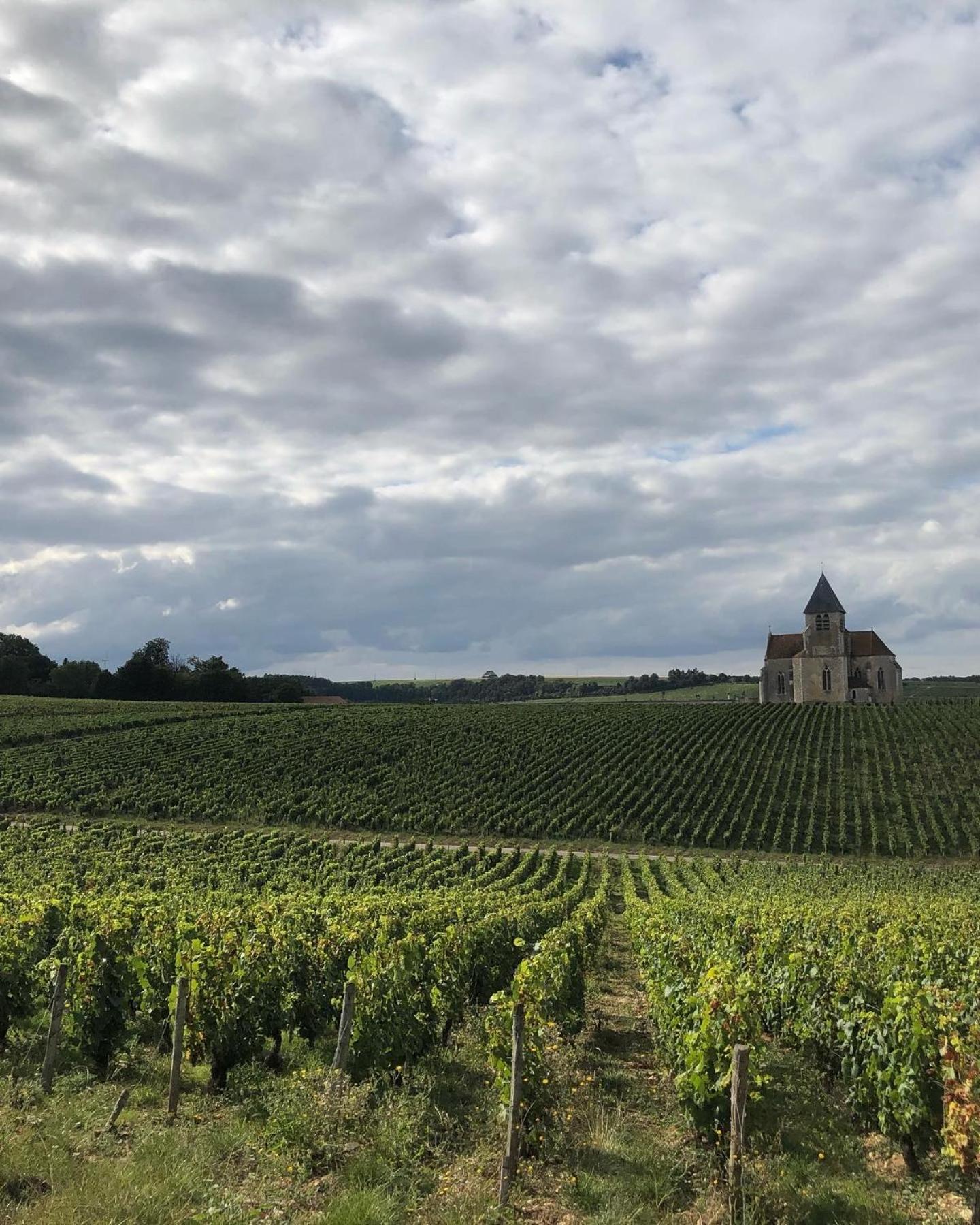 Maison De Pauline, Chablis Vineyard Préhy Zimmer foto