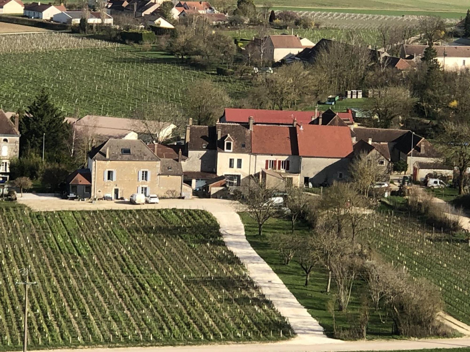 Maison De Pauline, Chablis Vineyard Préhy Exterior foto